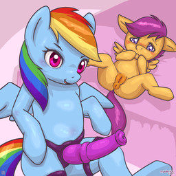 adult_on_young age_difference animal_dildo animal_genitalia animal_sex_toy animal_vulva anus blue_body blue_fur blush blush_lines dildo duo equine_anus equine_dildo equine_genitalia equine_vulva eyebrows feathered_wings feathers female female/female feral fur genitals hair larger_female looking_at_another looking_at_partner lying mouth_closed multicolored_hair older_female on_back orange_body orange_fur qr_code quadruped rainbow_hair red_eyes sex_toy short_hair simple_background size_difference smaller_female smile strapon tongue vulva wings worried young young_female young_feral younger_female younger_feral maverick friendship_is_magic hasbro my_little_pony mythology rainbow_dash_(mlp) scootaloo_(mlp) equid equine mammal mythological_creature mythological_equine pegasus 1:1 2026 hi_res