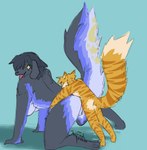 all_fours anthro doggystyle duo female from_behind_position fur larger_female larger_penetrated looking_back male male/female markings moon_(marking) multicolored_body multicolored_fur penetration pleased_expression raised_tail sex size_difference smaller_male star_(marking) tail text oakfinch meri_(oakfinch) tyberius_zen canid canine canis domestic_cat domestic_dog felid feline felis mammal tabby_cat absurd_res artist_name digital_drawing_(artwork) digital_media_(artwork) hi_res shaded signature
