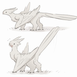 ambiguous_gender beak black_eyes butt cheek_tuft facial_tuft feathers feet feral long_tail looking_aside looking_at_viewer open_mouth quadruped raised_tail solo standing surprised tail tail_feathers talons toes tuft winged_arms wings tateoftot european_mythology mythology avian dragon feathered_dragon feathered_scalie gryphon mythological_avian mythological_creature mythological_scalie scalie western_dragon wyvern 1:1 hi_res
