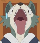 adam's_apple anthro bodily_fluids fur gaping_mouth grey_body grey_fur male mouth_shot open_mouth orange_background saliva saliva_on_tongue simple_background solo sweat sweatdrop teeth tongue tongue_out suddendraft beastars legoshi_(beastars) canid canine canis mammal wolf 2020 digital_media_(artwork) hi_res