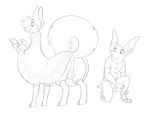 anthro anus backsack balls bat_ears biped butt clothing digitigrade duo footwear genitals kneeling male poncho quadruped sandals shoes simple_background standing tail tail_anus white_background halbean turo_of_akesh twerp_(halbean) bat citra citra_taur desert_bat mammal mammal_taur taur wingless_bat 2023 4:3 absurd_res digital_media_(artwork) hi_res monochrome sketch