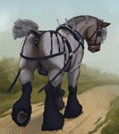 anatomically_correct anatomically_correct_genitalia anatomically_correct_penis animal_genitalia animal_penis anus balls bdsm black_anus black_balls black_leather black_legs black_penis bodily_fluids bondage bound bridle brown_body brown_ears brown_fur butt cum cum_drip cum_on_ground dripping equine_genitalia equine_penis erection feral fluffy fluffy_tail fur genital_fluids genitals grass grey_body grey_hair grey_hose grey_mane grey_tail hair harness hooves leg_markings male male_feral mane markings metal outside penis perineum plant presenting presenting_anus presenting_balls puffy_anus quadruped raised_tail reins road sky socks_(marking) solo tail underhoof conditional_dnp tgt1512 draft_horse equid equine horse mammal digital_media_(artwork) hi_res