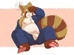 anthro belly blush bottomwear brown_body brown_fur bulge clothing erection fur genitals humanoid_hands male navel nipples overweight pants penis sitting solo underwear young young_anthro yezi_fff canid canine mammal raccoon_dog tanuki 2021 4:3 hi_res