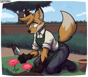 5_fingers anthro apron backyard big_ears big_eyes big_tail biped black_boots black_clothing black_eyebrows black_footwear black_gloves black_handwear black_outline blue_bottomwear blue_clothing blue_pants blue_sky boots bottomwear brown_body brown_ear_tips brown_fence brown_fur brown_nose button_(fastener) cheek_tuft clothing cloud collared_shirt countershading day dipstick_ears dipstick_tail dirty dirty_clothing dirty_fur ear_markings eyebrows facial_tuft fence fingers flower fluffy fluffy_tail footwear fur gardening gardening_gloves gardening_tool gloves grass green_apron green_clothing hair hand_on_ground handwear head_tuft holding_object holding_trowel humanoid_hands inner_ear_fluff kneeling kneeling_on_ground leaf looking_down male markings multicolored_body multicolored_ears orange_body orange_ears orange_fur orange_hair orange_tail outline outside pants plant plant_pot plantigrade red_flower rolled_up_sleeves shirt shoes sky snout solo sparkles sparkling_eyes spring spring_(season) tail tail_markings text topwear tree trowel tuft two_tone_body white_body white_clothing white_eyes white_fur white_inner_ear_fluff white_sclera white_shirt white_tail_tip white_topwear wood wood_fence suitedwolfie balthy_(suitedwolfie) canid canine fox mammal red_fox true_fox 2026 artist_name digital_drawing_(artwork) digital_media_(artwork) hi_res shaded watermark