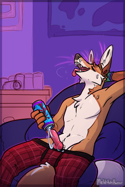 anal anal_penetration animal_genitalia animal_penis anthro balls blue_body bodily_fluids bottomwear bottomwear_down breath canine_genitalia canine_penis clothed clothing countershade_face countershade_neck countershade_torso countershading cum cum_from_ass cum_in_ass cum_inside detailed_background dipstick_tail ear_piercing erection fur gauged_ear genital_fluids genitals hand_behind_head knot knotted_penis leaking_cum male male_anthro markings open_mouth open_smile orange_body orange_fur panting pants pants_down partially_clothed penetrable_sex_toy penetration penile penile_penetration penis penis_in_ass piercing pink_penis red_body sex_toy sitting smile solo sweat tail tail_markings teeth tongue tongue_out topless topless_anthro topless_male whiskers white_body white_fur meldritchhorror raik_(character) canid canine fox mammal red_fox true_fox 2020 2:3 hi_res