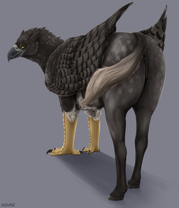 animal_genitalia animal_vulva anus beak black_body black_claws black_fur butt claws equine_anus equine_genitalia equine_vulva feet female feral fur genitals grey_body grey_fur looking_at_viewer presenting puffy_anus solo talons toes vulva yellow_eyes kehreazerith european_mythology greek_mythology mythology avian hippogriff mythological_avian mythological_creature absurd_res hi_res