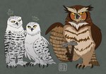 2022 absurd_res avian barran_(gogh) beak bird black_beak blacksmith_hammer boron_(gogh) brown_body brown_feathers bubo_(gogh) crown digital_drawing_(artwork) digital_media_(artwork) feathers feet female feral flat_colors great_horned_owl group guardians_of_ga'hoole hammer headgear hi_res holding_hammer holding_object holding_tool horned_owl kabuki-aku male owl simple_background snowy_owl standing talons toes tools trio true_owl white_body white_feathers yellow_eyes