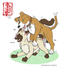 anal anal_orgasm anal_penetration animal_genitalia animal_penis aroused balls blush bodily_fluids canine_genitalia canine_penis collar cum cum_in_ass cum_inside cum_on_grass cum_on_ground cum_while_penetrated duo ejaculation erection feline_genitalia feline_penis feral feral_on_feral feral_penetrated feral_penetrating feral_penetrating_feral genital_fluids genitals grass hands-free humping knot knot_in_ass looking_pleasured male male/male male_on_bottom male_on_top male_penetrated male_penetrating male_penetrating_male on_bottom on_top orgasm penetration penile penile_penetration penis penis_in_ass phantasmas_(fa) plant sex simultaneous_orgasms tail text fennec_(artist) canid canine canis domestic_cat domestic_dog felid feline felis mammal pit_bull siamese_cat