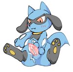 3_fingers 3_toes anthro balls biped black_body black_fur blue_balls blue_body blue_ears blue_fur blue_tail blush blush_lines bodily_fluids cum cum_on_leg cum_on_own_leg cum_on_own_penis cum_on_penis cum_on_self cute_fangs digitigrade erection fangs feet fingers front_view fur genital_fluids genitals male male_anthro masturbation mouth_closed multicolored_body multicolored_fur pawpads penile penile_masturbation penis pink_penis pointy_ears prick_ears red_eyes simple_background sitting solo spread_legs spreading tail tapering_penis teeth toes two_tone_body two_tone_fur white_background yellow_pawpads kirichiiii nintendo pokemon canid generation_4_pokemon mammal pokemon_(species) riolu 2024