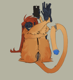 anthro black_body black_skin black_vulva cellphone electronics feet female fur genitals hair holding_cellphone holding_object holding_phone holding_smartphone legs_up long_hair long_tail one_eye_closed orange_body orange_fur phone prehensile_feet red_hair smartphone smile solo tail taking_picture taking_selfie teeth toes vulva twistedteeth golden_langur haplorhine langur mammal monkey old_world_monkey primate hi_res