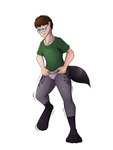 anthro biped black_markings black_tail blue_eyes bottomless brown_hair clothed clothing countershade_fur countershade_torso countershading eyewear featureless_crotch fur gender_transformation glasses grey_body grey_fur hair human_to_anthro leg_markings looking_down_at_self male markings motion_lines mtf_transformation multicolored_body multicolored_fur shirt simple_background socks_(marking) solo species_transformation split_form spots standing t-shirt tail topwear transformation white_background tomek1000 human hyena mammal 2018 3:4 colored hi_res