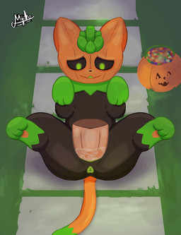 abdominal_bulge anus bestiality big_butt black_body bodily_fluids butt candy deep_penetration dessert disembodied_penis duo female female_focus female_on_human female_penetrated feral feral_penetrated food for_a_head from_front_position fruit genital_fluids genitals grass green_body green_eyes holidays human_on_feral human_penetrating human_penetrating_female human_penetrating_feral interspecies looking_pleasured lying male male/female male_penetrating male_penetrating_female missionary_position on_back orange_body paws penetration penile penile_penetration penis penis_in_vagina plant pumpkin sex solo_focus tail tail_motion tailwag tongue vaginal vaginal_fluids vaginal_penetration vulva majika halloween pumkat domestic_cat elemental_creature felid feline felis flora_fauna human mammal object_head 2025 2d_animation animated frame_by_frame hi_res