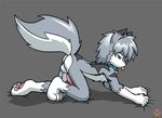 adolescent all_fours anthro balls biped blep blue_eyes bodily_fluids butt cheek_tuft chest_tuft claws collar cum erection facial_tuft fur genital_fluids genitals grey_body grey_fur hair humanoid_genitalia humanoid_penis looking_at_viewer male multicolored_body multicolored_fur nude pawpads paws penis simple_background solo tongue tongue_out tuft white_body white_fur young twotails canid canine canis mammal wolf