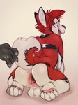 after_fisting anthro anus backsack balls big_gape collar disembodied_hand duo fur gaping gaping_anus genitals kneeling looking_back male male/male open_mouth pawpads paws red_body red_fur simple_background tongue white_body yellow_background sethpup cenny canid canine canis domestic_dog husky mammal nordic_sled_dog spitz hi_res