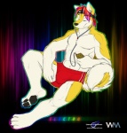 anthro clothing earbuds electronics gucciipod headphones lounging male music paws solo swimming_trunks swimwear tail underwear wolfblade wuffamute gucci recca canid canine canis domestic_dog husky mammal nordic_sled_dog spitz artist_collaboration hi_res