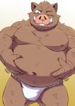 2019 anthro asian_clothing belly brown_body brown_fur clothing east_asian_clothing fundoshi fur humanoid_hands japanese_clothing male mammal moobs navel nipples one_eye_closed overweight overweight_anthro overweight_male shirosaru simple_background solo suid suina sus_(pig) underwear wild_boar wink