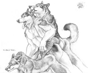 anal anal_penetration balls_deep blotch canine dog fox gay group group_sex husky male mammal monochrome penetration sex threesome tongue train_position two_subs_one_dom wolf
Rating: Explicit
Score: 10
User: Dream
Date: April 04, 2010