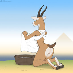 anthro arched_back basket black_hooves black_horn blue_sky bottomless bottomless_anthro bottomless_female breasts brown_markings brown_tail butt casual_exposure clothed clothed_anthro clothed_female clothing cloven_hooves container countershade_face countershade_feet countershade_fur countershade_legs countershade_neck countershade_torso countershading day dewclaw_hooves feet female female_anthro fur green_eyes holding_object hooves horn humanoid_hands kneeling laundry long_horn markings monotone_clothing monotone_topwear mouth_closed multicolored_body multicolored_fur outside short_tail sky slim slim_anthro slim_female solo tail tan_body tan_fur three-quarter_view topwear underhoof unguligrade white_body white_clothing white_countershading white_ears white_fur white_sclera white_topwear jishinu antelope bovid gazelle mammal 1:1 2025 english_description full-length_portrait hi_res portrait