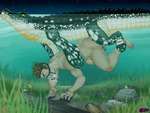 4:3 anal anal_penetration back_muscles bestiality brown_hair bubble butt crocodile crocodilian crocodylid cuban_crocodile duo erection feral feral_penetrating feral_penetrating_human green_body hair holding_partner human human_on_feral human_penetrated interspecies larger_feral larger_male male male/male male_penetrated male_penetrating male_penetrating_male mammal multicolored_body muscular muscular_human muscular_male nude penetration penile penile_penetration penis_in_ass reptile scalie sex size_difference skinny_dipping sleepymonster smaller_human smaller_male smaller_penetrated underwater underwater_sex water white_body