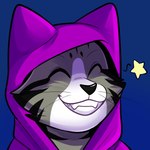 anthro cloak clothing fur grey_body grey_fur happy magic_user male purple_clothing smile star white_body white_fur rindeadsong domestic_cat felid feline felis mammal 1:1 headshot_portrait portrait