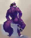 anthro back_muscles biceps biped black_hair black_nose black_pawpads blue_eyes bubble_butt butt claws fur hair looking_at_viewer looking_back looking_back_at_viewer male muscular muscular_anthro muscular_male nude pawpads paws pose purple_body purple_fur purple_hair rear_view rope sitting smile solo toe_claws white_body white_fur xuan_sirius shyloc canid canine canis fox hybrid mammal wolf digital_media_(artwork) full-length_portrait hi_res portrait