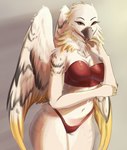 a anthro back_wings big_breasts biped breasts clothed clothing feather_markings feathered_crest feathered_wings feathers female female_anthro front_view head_crest markings navel non-mammal_breasts non-mammal_navel red_clothing red_underwear solo standing thick_thighs underwear underwear_only wide_hips wing_markings wings murfa avian bird hybrid hi_res