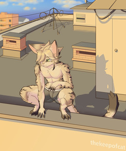 anthro black_clothing black_underwear claws clothing crouching curling_tail fur green_eyes hair_covering_one_eye hand_on_knee hand_on_leg long_tail looking_away male markings muscular muscular_anthro muscular_male rooftop solo striped_body striped_fur striped_markings striped_tail stripes sunset tail tail_markings underwear whiskers thekeepofcat mauser_(thekeepofcat) black-footed_cat felid feline felis mammal 5:6 absurd_res hi_res