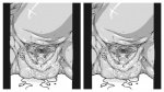 bodily_fluids female genital_fluids genital_shot genitals pussy pussy_shot rear_view solo vaginal_fluids nezumi_(artist) ambiguous_species 16:9 cross_eye_stereogram monochrome side_by_side_stereogram stereogram widescreen