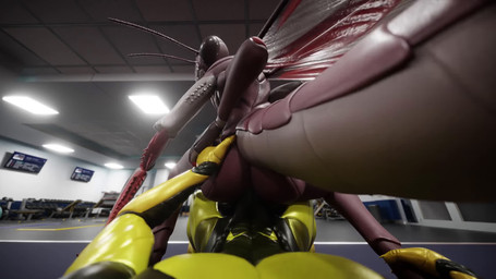 4_arms abs anal anal_penetration antennae_(anatomy) anthro arthropod_abdomen balls brown_body compound_eyes duo erection exoskeleton first_person_view from_behind_position genitals gym insect_wings male male/male male_penetrated male_penetrating mandibles markings multi_arm multi_limb muscular muscular_male nude on_bottom on_top penetrating_pov penetration penile penile_penetration penis raptorial_(anatomy) red_markings reverse_cowgirl_position sex wings waspwarrior furvoc_(modeler) mokujinh_(modeler) xenomaker_(modeler) ruki_(waspwarrior) shay_milner arthropod hymenopteran insect mantis vespid wasp 16:9 3d_(artwork) 3d_animation animated blender_(artwork) digital_media_(artwork) hi_res loop no_sound short_playtime video widescreen