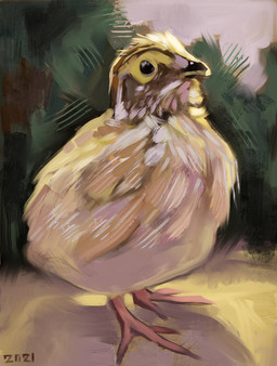 abstract_background beak biped bipedal_feral black_beak black_eyes feathers feral markings solo tan_body tan_feathers white_body white_feathers yellow_markings alexpahomov avian bird galliform phasianid quail 2021 digital_media_(artwork) digital_painting_(artwork) painting_(artwork)