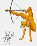 angry anthro arrow_(weapon) balls brown_eye butt claws contortionism feet flexible fur genitals handstand long_tail male nails orange_body orange_fur pawpads ranged_weapon rear_view solo spread_legs spreading tail toe_claws toes weapon white_body white_fur yellow_body yellow_fur young smol_boye disney robin_hood_(disney) robin_hood canid canine fox mammal red_fox true_fox hi_res