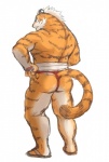 anthro asian_clothing biped butt clothed clothing east_asian_clothing fundoshi furgonomics japanese_clothing looking_at_viewer looking_back looking_back_at_viewer male rear_view simple_background solo standing tail tail_clothing topless tugging underwear white_background gawein-dragon felid mammal pantherine tiger