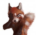 5_fingers ailurid akineza ambiguous_gender blush claws eyes_closed facepalm feral fingers fluffy fluffy_tail half-length_portrait long_tail mammal portrait reaction_image red_panda simple_background solo tail whiskers white_background