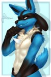 anthro black_body black_fur blue_body blue_fur fangs fluffy fur male simple_background smug solo spikes spikes_(anatomy) tail teeth white_body white_fur feelieowo nintendo pokemon canid canine generation_4_pokemon lucario mammal pokemon_(species) 2:3 digital_media_(artwork) hi_res signature