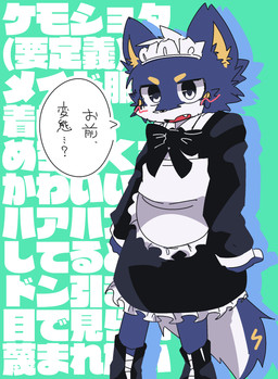 anthro blue_body blue_fur blush bow_ribbon clothing dialogue front_view fur head_tuft inner_ear_fluff looking_at_viewer maid_uniform male multicolored_body multicolored_fur open_mouth solo speech_bubble standing text tuft two_tone_body two_tone_fur uniform white_body white_fur yellow_body yellow_fur ranshinumeda334 inuyama_shirou canid canine canis mammal wolf 2025 absurd_res hi_res japanese_text
