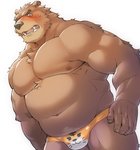 anthro belly blush brown_body brown_fur bulge clothing fur humanoid_hands kemono male moobs nipples overweight overweight_anthro overweight_male simple_background solo underwear white_background seikeikei2015 bear mammal 2020 hi_res