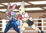 anthro athletic_wear bodily_fluids bottomwear boxing boxing_gloves clothed clothing dolphin_shorts duo female fight fighting_ring flat_chested footwear gym_socks handwear inside open_mouth saliva shorts sport thick_thighs dcheese beastars disney zootopia haru_(beastars) judy_hopps lagomorph leporid mammal rabbit 2024 absurd_res crossover digital_media_(artwork) hi_res