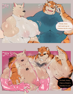 abs ahegao anthro arm_tuft armwear biceps big_nipples blue_clothing blue_shirt blue_topwear blush bodily_fluids body_blush body_hair cellphone cheat cheating_husband chest_hair clothing condom dialogue duo elbow_tuft electronics eyeless fur infidelity looking_pleasured lying male male/male moobs muscular muscular_anthro muscular_male nipple_piercing nipples orange_body orange_fur pec_grab pecs phone phone_call piercing pink_armwear pink_clothing saliva saliva_string scar sexual_barrier_device shirt skinsuit smartphone striped_body striped_fur stripes sweat sweaty_clothing sweaty_shirt sweaty_topwear tattoo text tight_clothing topwear tuft vein veiny_muscles white_armwear white_body white_clothing white_fur white_shirt white_skinsuit white_topwear kd_gai canid canine canis felid mammal pantherine tiger wolf english_text hi_res