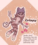 anthro clothing femboy feminine genitals legwear male penis solo text thigh_highs crispypurr domestic_cat felid feline felis mammal english_text hi_res