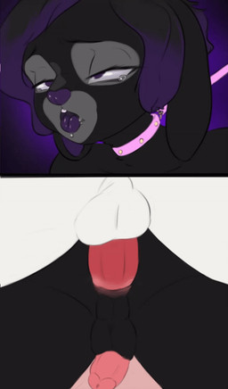 ahegao all_fours anal anal_penetration animal_genitalia anthro anthro_on_anthro anthro_penetrated anthro_penetrating anthro_penetrating_anthro anus ass_up ball_slap balls balls_deep balls_touching bdsm bodily_fluids bouncing_balls bouncing_penis butt collar drooling duo erection faceless_character faceless_male femboy from_behind_position fucked_silly genitals hair half-closed_eyes leash leash_pull looking_pleasured male male/male male_penetrated male_penetrating male_penetrating_male moan multicolored_hair narrowed_eyes orgasm_face penetration penile penile_penetration penis rear_view saliva sex simple_background slap tears tongue tongue_out bisamon bluggy katassy lagomorph leporid mammal rabbit sergal 2d_animation animated frame_by_frame
