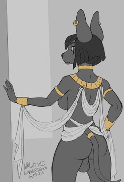 accessory anthro backsack balls black_hair bracelet breasts butt choker clothing collar ear_piercing ear_ring egyptian egyptian_clothing furgonomics genitals gold_(metal) gold_jewelry grey_body gynomorph hair ineffective_clothing intersex jewelry looking_at_viewer looking_back mostly_nude mostly_nude_anthro mostly_nude_gynomorph necklace piercing rear_view ring ring_piercing sash simple_background solo tail tail_accessory tail_jewelry tail_ring usekh yellow_eyes maddworld anubian_jackal canid canine canis jackal mammal digital_media_(artwork) hi_res