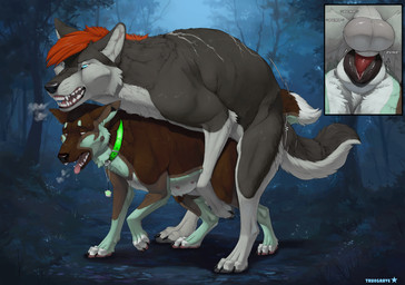 anatomically_correct anatomically_correct_genitalia anatomically_correct_penis anatomically_correct_vulva animal_genitalia animal_penis animal_vulva balls bodily_fluids brown_body brown_fur canine_genitalia canine_penis canine_vulva claws collar cum cum_in_vagina cum_inside cutaway doggystyle duo erection fangs female female_feral female_penetrated feral feral_on_feral feral_penetrated feral_penetrating feral_penetrating_feral feral_with_hair forest from_behind_position fur genital_fluids genitals green_body green_fur grey_body grey_fur hair half-closed_eyes knot knot_root knotted_penis knotting larger_feral larger_male looking_pleasured male male/female male_feral male_penetrating male_penetrating_female mating_grip mounting multi_nipple narrowed_eyes nature night nipples open_mouth orange_hair penetration penile penile_penetration penis plant pump_(sound_effect) pumping_cum saliva sex sharp_teeth sheath size_difference smaller_female smaller_feral smaller_penetrated sweat teeth toe_claws tongue tongue_out tree vaginal vaginal_knotting vaginal_penetration vulva truegrave9 sheppermint storm_(stormwx_wolf) canid canine canis domestic_dog german_shepherd herding_dog mammal pastoral_dog wolf 2025 hi_res
