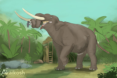 abdominal_bulge belly big_belly feral feral_pred human_prey oral_vore struggling struggling_prey text tusks vore akaikosh elephant elephantid human mammal proboscidean 3:2 hi_res url