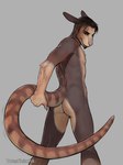 2016 anthro arm_tuft beard biped brown_body brown_fur brown_hair butt chest_tuft chris_(totesfleisch8) digital_media_(artwork) ears_back elbow_tuft facial_hair fur gloves_(marking) goatee grey_background hair half-closed_eyes hi_res holding_tail kangaroo long_tail looking_at_viewer looking_back macropod male mammal markings marsupial multicolored_body multicolored_fur narrowed_eyes nude pink_nose pivoted_ears pose presenting presenting_hindquarters raised_tail rear_view short_hair simple_background smile solo standing tail tan_body tan_fur thick_tail totesfleisch8 tuft two_tone_body two_tone_fur