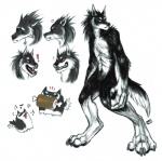 anthro black_body black_fur claws countershading fur male nude red_eyes simple_background solo white_background white_body white_fur dogbreath orion_(aluminemsiren) canid canine canis mammal wolf