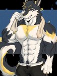 abs anthro big_muscles black_body black_fur black_hair blonde_hair fur grin hair looking_at_viewer male muscular muscular_anthro muscular_male pecs pubes smile solo tail teeth towel towel_around_neck white_body yellow_body yellow_eyes yellow_fur vortiganshine canid canine canis mammal wolf 3:4 alpha_channel hi_res