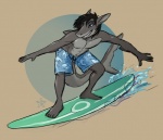 anthro big_tail blue_eyes bottomwear clothed clothing hair male outside shorts solo surfboard surfer surfing tail topless vehicle watercraft ezra_starscale nerts fish marine shark