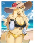 anthro armwear beach bikini black_nose blonde_hair blue_eyes border breasts cleavage clothed clothing cloud detached_sleeves eyewear female flower front-tie_bikini glasses gold_bikini hair hat hat_flower headgear headwear long_hair navel open_mouth open_smile plant red_flower round_glasses side-tie_bikini sky smile solo straw_hat string_bikini sun_hat swimwear tail two-piece_swimsuit wearing_glasses white_border white_sleeves yellow_body 00niine liz_(00niine) canid canine canis domestic_dog mammal 2023 hi_res signature