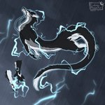 black_body black_claws black_fur blue_pawpads claws female feral fur logo magic_user pawpads raining solo tail white_body white_fur endermoonfur mythology ender_(endermoonfur) dragon eastern_dragon furred_dragon furred_scalie mythological_creature mythological_scalie scalie 1:1 artist_logo signature