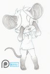 2016 anthro biped biscuit_(biscuits) black_and_white blep bottomless briefs briefs_on_head buckteeth chibi claws clothed clothing front_view full-length_portrait gloves_(marking) head_tuft leg_markings malachyte male mammal markings monochrome murid murine portrait rat rodent shirt simple_background sketch socks_(marking) solo standing teeth toe_claws tongue tongue_out topwear tuft underwear underwear_on_head whiskers white_background